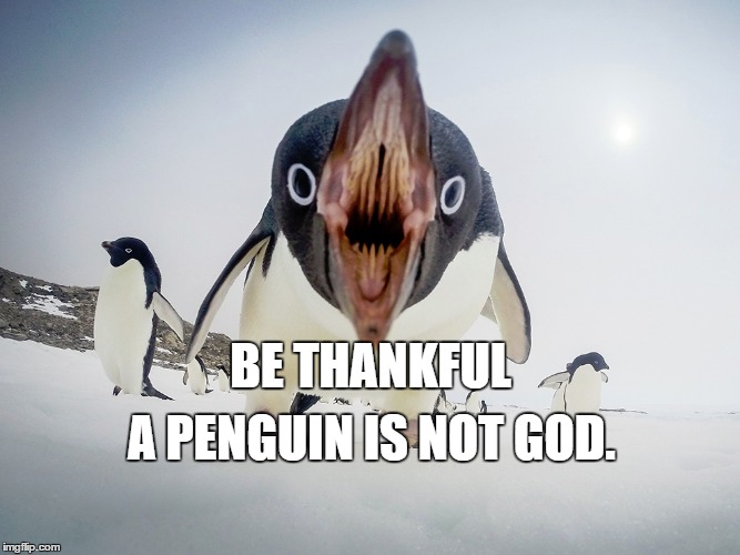 A PENGUIN IS NOT GOD. BE THANKFUL | image tagged in penguin,attack,god,angry,crazy,deity | made w/ Imgflip meme maker