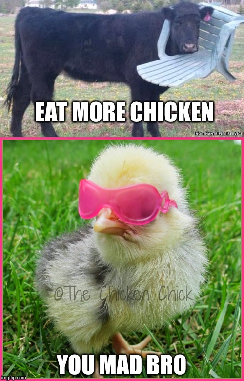 My thoughts on cow appreciate day... |  EAT MORE CHICKEN; YOU MAD BRO | image tagged in meme,chicken,cow,chick-fil-a,funny | made w/ Imgflip meme maker