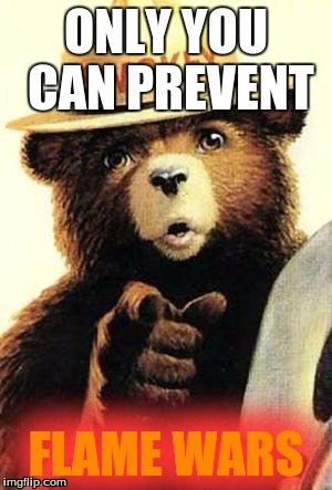 smokey the bear | ONLY YOU CAN PREVENT; FLAME WARS | image tagged in smokey the bear,memes | made w/ Imgflip meme maker