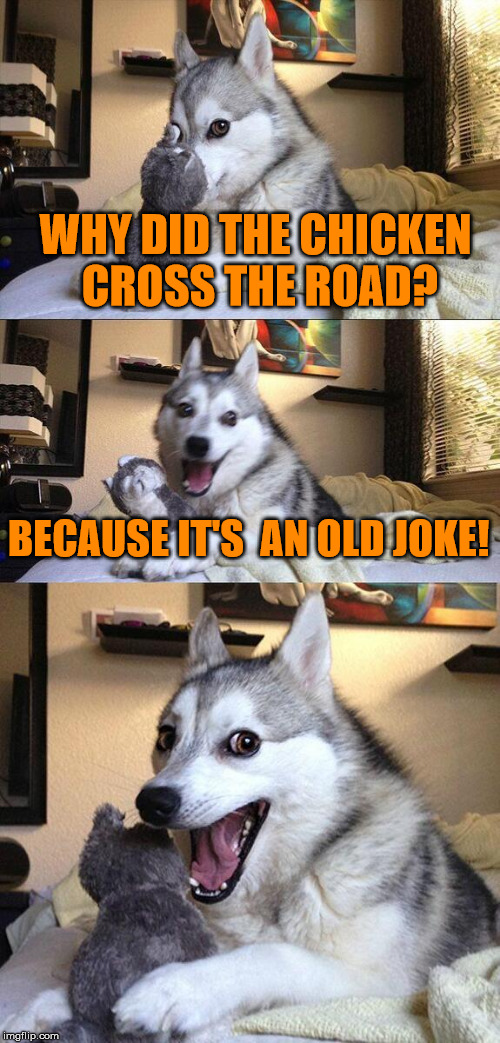 Bad Pun Dog Meme | WHY DID THE CHICKEN CROSS THE ROAD? BECAUSE IT'S  AN OLD JOKE! | image tagged in memes,bad pun dog | made w/ Imgflip meme maker