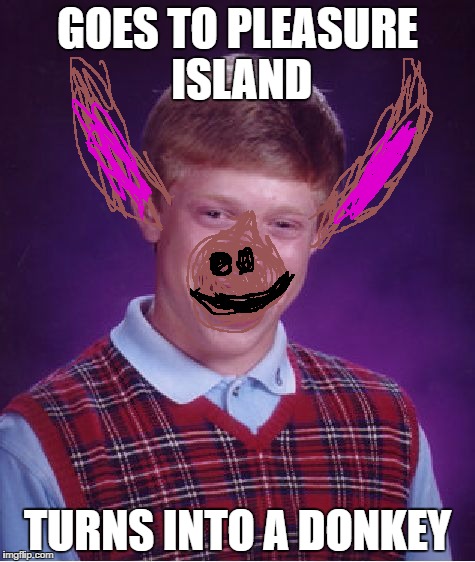 Pleasure Island Aftermath | GOES TO PLEASURE ISLAND; TURNS INTO A DONKEY | image tagged in memes,bad luck brian | made w/ Imgflip meme maker