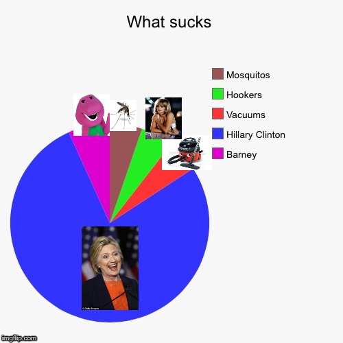 image tagged in piechart,pie charts,hillary clinton 2016,hillary clinton,hillary | made w/ Imgflip meme maker
