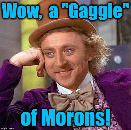 Creepy Condescending Wonka Meme | Wow,  a "Gaggle" of Morons! | image tagged in memes,creepy condescending wonka | made w/ Imgflip meme maker