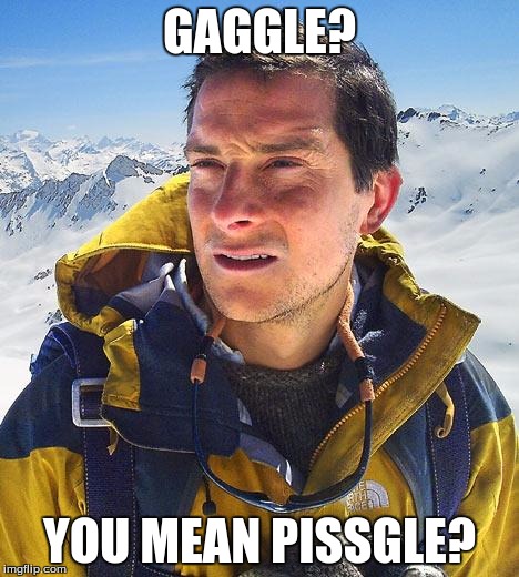 GAGGLE? YOU MEAN PISSGLE? | made w/ Imgflip meme maker