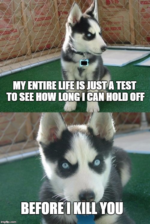 Insanity Puppy Meme | MY ENTIRE LIFE IS JUST A TEST TO SEE HOW LONG I CAN HOLD OFF; BEFORE I KILL YOU | image tagged in memes,insanity puppy | made w/ Imgflip meme maker