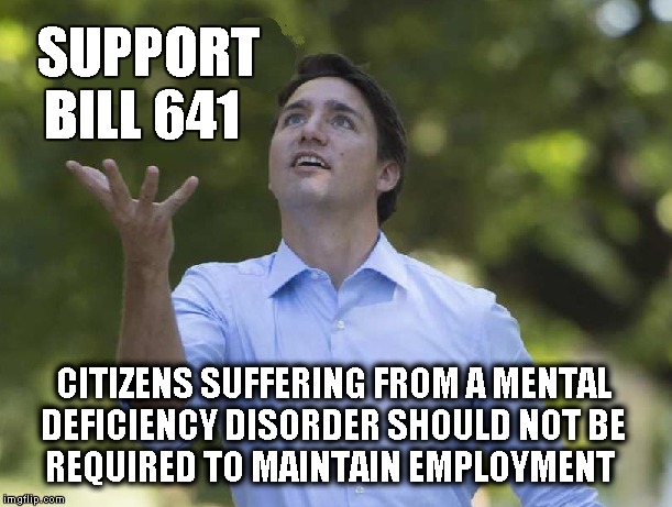 Support Bill 641 | SUPPORT                                    BILL 641; CITIZENS SUFFERING FROM A MENTAL DEFICIENCY DISORDER SHOULD NOT BE      REQUIRED TO MAINTAIN EMPLOYMENT | image tagged in justin trudeau,funny,funny meme,politicians,prime minister,meme | made w/ Imgflip meme maker