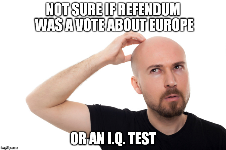 NOT SURE IF REFENDUM WAS A VOTE ABOUT EUROPE; OR AN I.Q. TEST | image tagged in memes,brexit,eu referendum | made w/ Imgflip meme maker