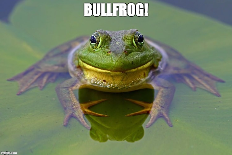 BULLFROG! | made w/ Imgflip meme maker