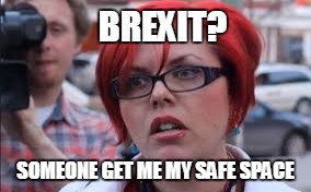 Safe Space for Brexit | BREXIT? SOMEONE GET ME MY SAFE SPACE | image tagged in brexit,meme,feminist | made w/ Imgflip meme maker