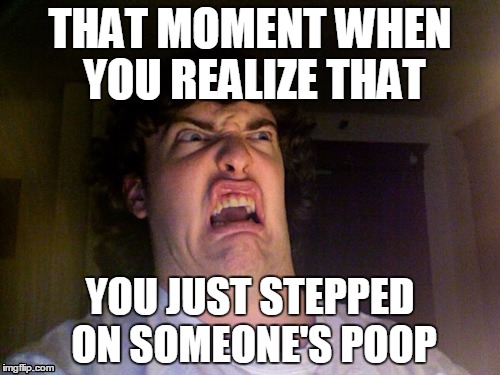 Oh No Meme | THAT MOMENT WHEN YOU REALIZE THAT; YOU JUST STEPPED ON SOMEONE'S POOP | image tagged in memes,oh no | made w/ Imgflip meme maker
