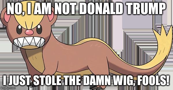 yungoos | NO, I AM NOT DONALD TRUMP; I JUST STOLE THE DAMN WIG, FOOLS! | image tagged in yungoos,pokemon,donald trump | made w/ Imgflip meme maker