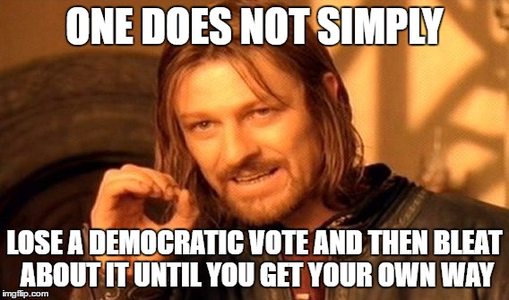 One Does Not Simply | ONE DOES NOT SIMPLY; LOSE A DEMOCRATIC VOTE AND THEN BLEAT ABOUT IT UNTIL YOU GET YOUR OWN WAY | image tagged in memes,one does not simply | made w/ Imgflip meme maker