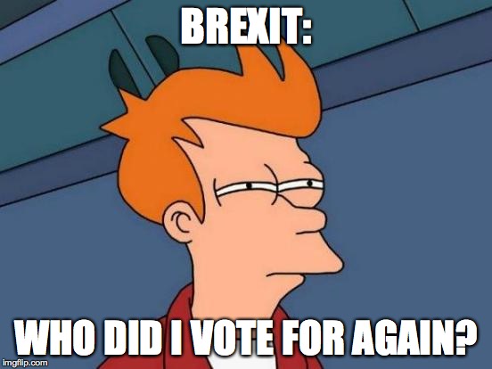Futurama Fry | BREXIT:; WHO DID I VOTE FOR AGAIN? | image tagged in memes,futurama fry | made w/ Imgflip meme maker