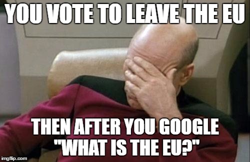 Captain Picard Facepalm Meme | YOU VOTE TO LEAVE THE EU; THEN AFTER YOU GOOGLE "WHAT IS THE EU?" | image tagged in memes,captain picard facepalm,eu referendum,google | made w/ Imgflip meme maker