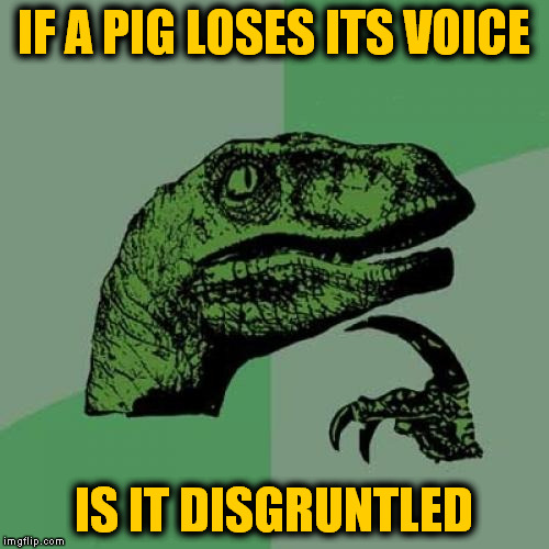 Philosoraptor Meme | IF A PIG LOSES ITS VOICE; IS IT DISGRUNTLED | image tagged in memes,philosoraptor | made w/ Imgflip meme maker
