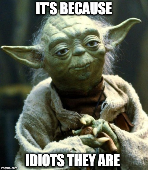 Star Wars Yoda Meme | IT'S BECAUSE IDIOTS THEY ARE | image tagged in memes,star wars yoda | made w/ Imgflip meme maker