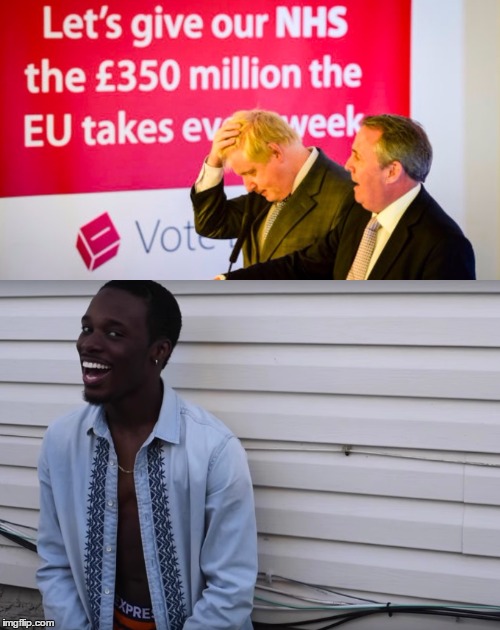 why you always lying brexit | image tagged in eu referendum | made w/ Imgflip meme maker