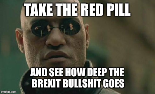 Matrix Morpheus Meme | TAKE THE RED PILL; AND SEE HOW DEEP THE BREXIT BULLSHIT GOES | image tagged in memes,matrix morpheus | made w/ Imgflip meme maker
