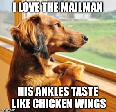 And Small Dogs Are Easier To Punt | I LOVE THE MAILMAN; HIS ANKLES TASTE LIKE CHICKEN WINGS | image tagged in dogs,mailman | made w/ Imgflip meme maker