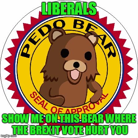 Pedo Bear Seal of Approval | LIBERALS; SHOW ME ON THIS BEAR WHERE THE BREXIT VOTE HURT YOU | image tagged in pedo bear seal of approval | made w/ Imgflip meme maker