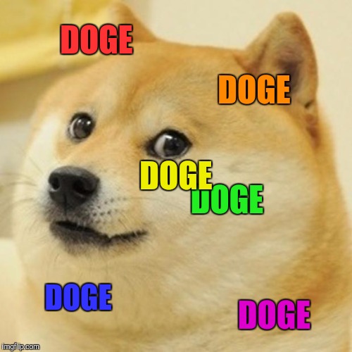 Doge Meme | DOGE; DOGE; DOGE; DOGE; DOGE; DOGE | image tagged in memes,doge | made w/ Imgflip meme maker