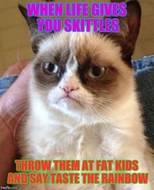 Grumpy Cat Meme | WHEN LIFE GIVES YOU SKITTLES; THROW THEM AT FAT KIDS AND SAY TASTE THE RAINBOW | image tagged in memes,grumpy cat | made w/ Imgflip meme maker