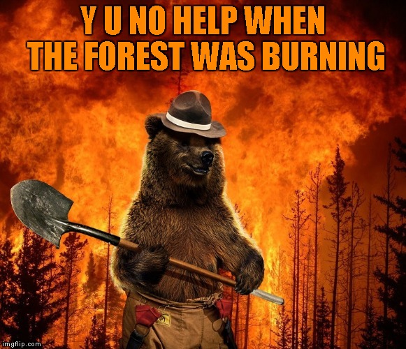 Y U NO HELP WHEN THE FOREST WAS BURNING | made w/ Imgflip meme maker