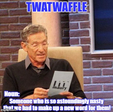 WHEN WORDS FAIL | TWATWAFFLE; Noun:; Someone who is so astoundingly nasty that we had to make up a new word for them! | image tagged in memes,new words | made w/ Imgflip meme maker