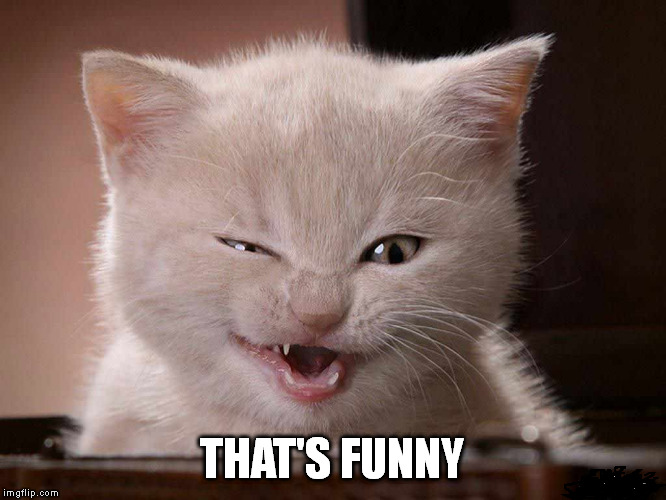 THAT'S FUNNY | made w/ Imgflip meme maker