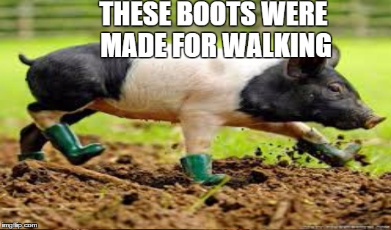 THESE BOOTS WERE MADE FOR WALKING | made w/ Imgflip meme maker