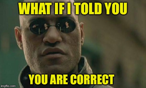 Matrix Morpheus Meme | WHAT IF I TOLD YOU YOU ARE CORRECT | image tagged in memes,matrix morpheus | made w/ Imgflip meme maker