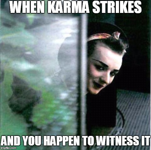 Karma is a... chameleon BITCH! | WHEN KARMA STRIKES; AND YOU HAPPEN TO WITNESS IT | image tagged in memes,funny,boy george,karma,karma chameleon | made w/ Imgflip meme maker