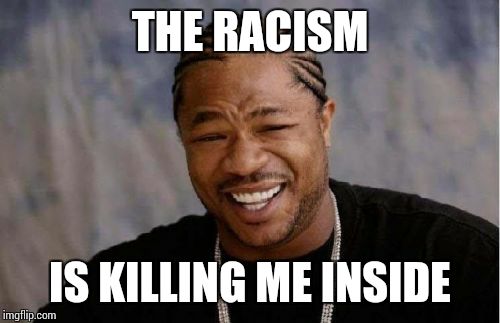 Yo Dawg Heard You Meme | THE RACISM IS KILLING ME INSIDE | image tagged in memes,yo dawg heard you | made w/ Imgflip meme maker
