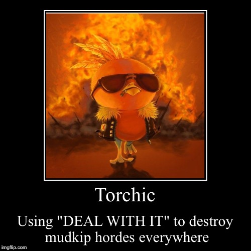 Bruh | image tagged in funny,demotivationals,torchic,demotivational week,deal with it | made w/ Imgflip demotivational maker