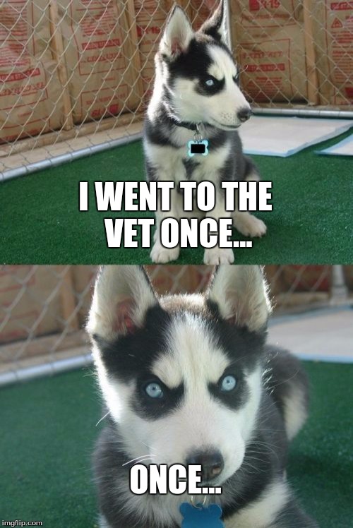 Insanity Puppy | I WENT TO THE VET ONCE... ONCE... | image tagged in memes,insanity puppy | made w/ Imgflip meme maker