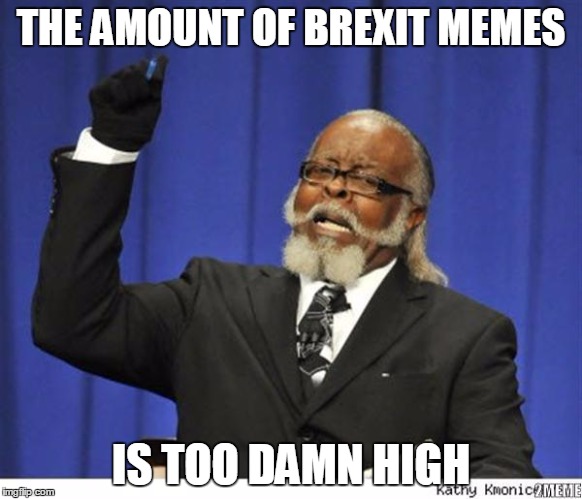 damn brexit
 | THE AMOUNT OF BREXIT MEMES; IS TOO DAMN HIGH | image tagged in the amout of depressed people is to damn high,the amount of x is too damn high | made w/ Imgflip meme maker