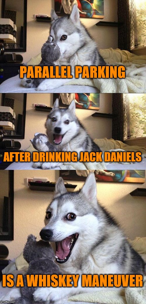 Bad Pun Dog | PARALLEL PARKING; AFTER DRINKING JACK DANIELS; IS A WHISKEY MANEUVER | image tagged in memes,bad pun dog | made w/ Imgflip meme maker