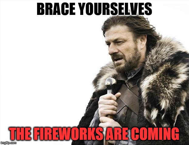 To All the Dog Owners Out There | BRACE YOURSELVES; THE FIREWORKS ARE COMING | image tagged in memes,brace yourselves x is coming | made w/ Imgflip meme maker