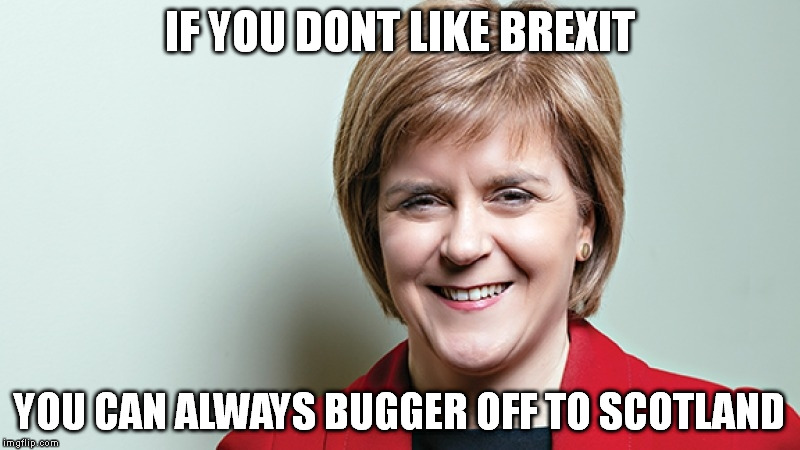 Nicola Sturgeon | IF YOU DONT LIKE BREXIT; YOU CAN ALWAYS BUGGER OFF TO SCOTLAND | image tagged in brexit,remain,leave,european union,scotland | made w/ Imgflip meme maker