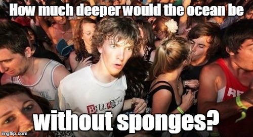 Sudden Clarity Clarence | How much deeper would the ocean be; without sponges? | image tagged in memes,sudden clarity clarence | made w/ Imgflip meme maker