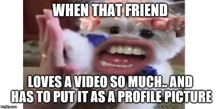That moment when.. | WHEN THAT FRIEND; LOVES A VIDEO SO MUCH.. AND HAS TO PUT IT AS A PROFILE PICTURE | image tagged in markiplier,woof | made w/ Imgflip meme maker