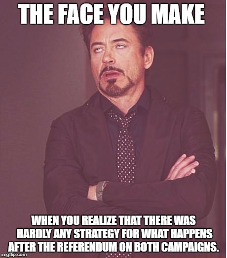 Face You Make Robert Downey Jr Meme | THE FACE YOU MAKE WHEN YOU REALIZE THAT THERE WAS HARDLY ANY STRATEGY FOR WHAT HAPPENS AFTER THE REFERENDUM ON BOTH CAMPAIGNS. | image tagged in memes,face you make robert downey jr | made w/ Imgflip meme maker