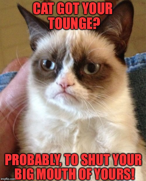 Grumpy Cat | CAT GOT YOUR TOUNGE? PROBABLY, TO SHUT YOUR BIG MOUTH OF YOURS! | image tagged in memes,grumpy cat | made w/ Imgflip meme maker