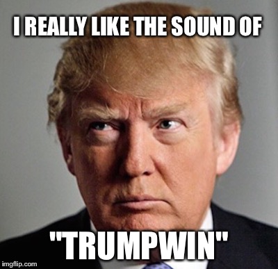 I REALLY LIKE THE SOUND OF "TRUMPWIN" | made w/ Imgflip meme maker