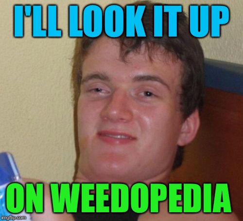 10 Guy Meme | I'LL LOOK IT UP; ON WEEDOPEDIA | image tagged in memes,10 guy | made w/ Imgflip meme maker