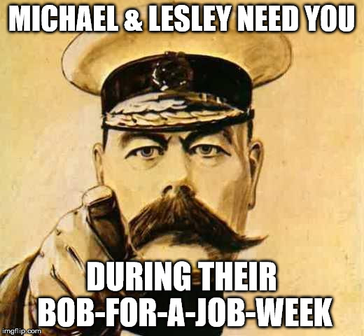 Your Country Needs YOU | MICHAEL & LESLEY NEED YOU; DURING THEIR BOB-FOR-A-JOB-WEEK | image tagged in your country needs you | made w/ Imgflip meme maker