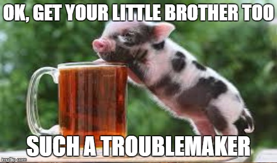 OK, GET YOUR LITTLE BROTHER TOO SUCH A TROUBLEMAKER | made w/ Imgflip meme maker
