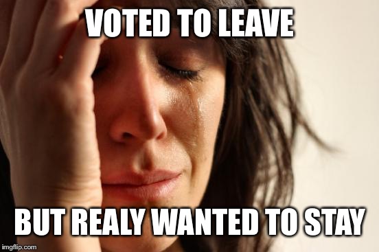 First World Problems | VOTED TO LEAVE; BUT REALY WANTED TO STAY | image tagged in memes,first world problems | made w/ Imgflip meme maker