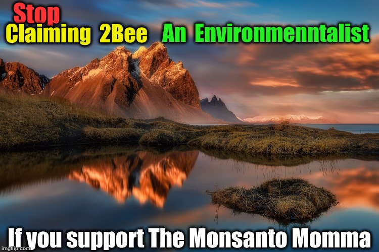 landscape | Stop; Claiming  2Bee; An  Environmenntalist; If you support The Monsanto Momma | image tagged in landscape | made w/ Imgflip meme maker