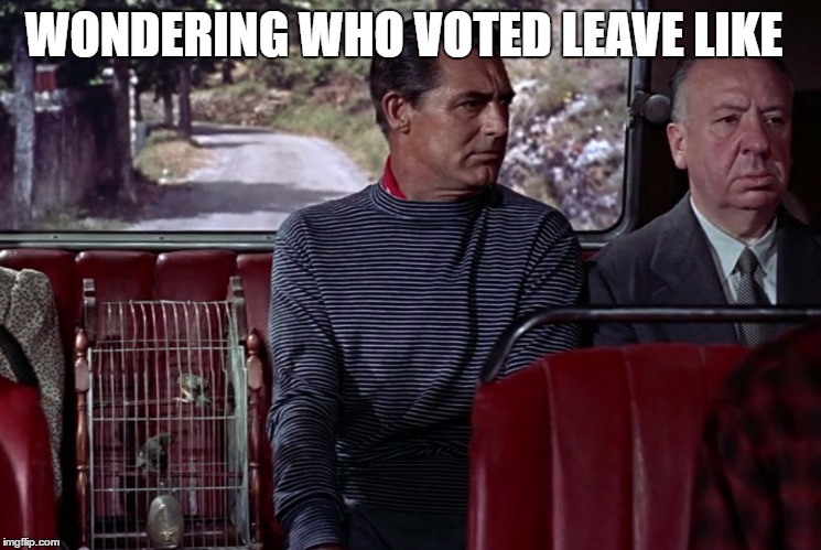 was it you? | WONDERING WHO VOTED LEAVE LIKE | image tagged in eu referendum | made w/ Imgflip meme maker